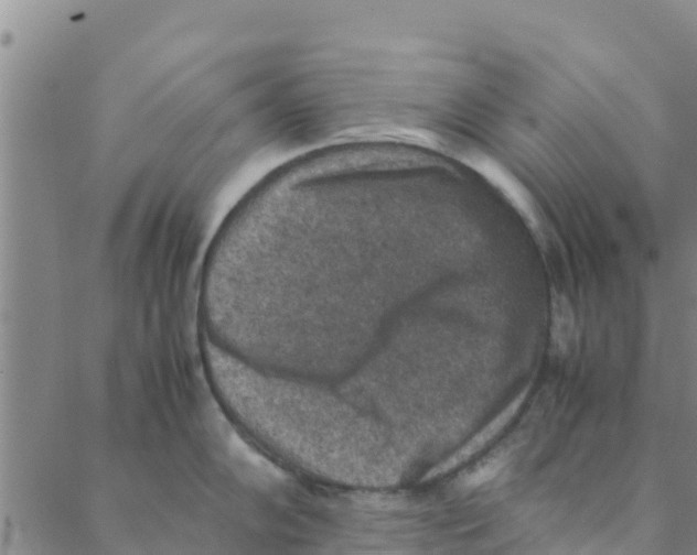 X0000088401102200706191351