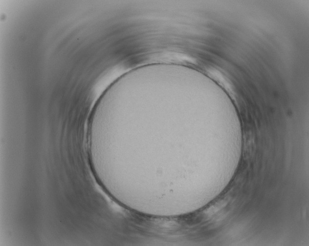 X0000088401103200706191351