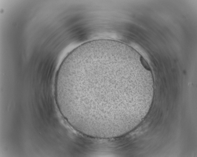 X0000088401104200706191351