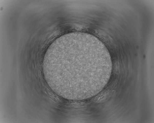 X0000088401105200706191350