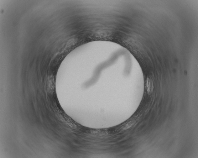 X0000088401107200706191350