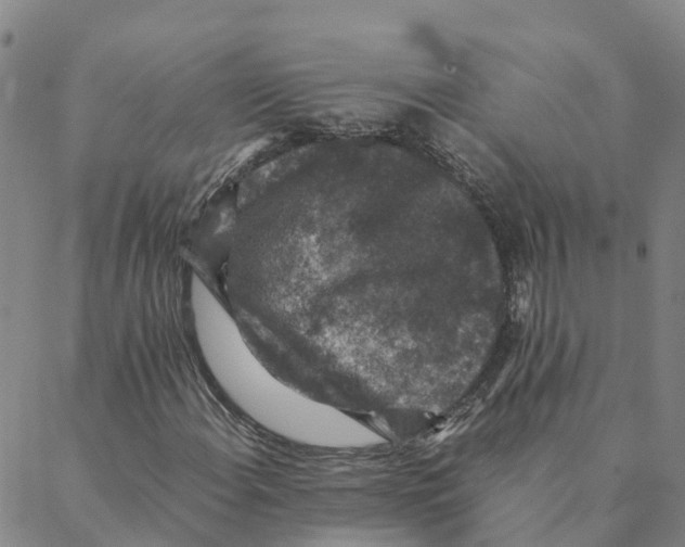 X0000088401108200706191350