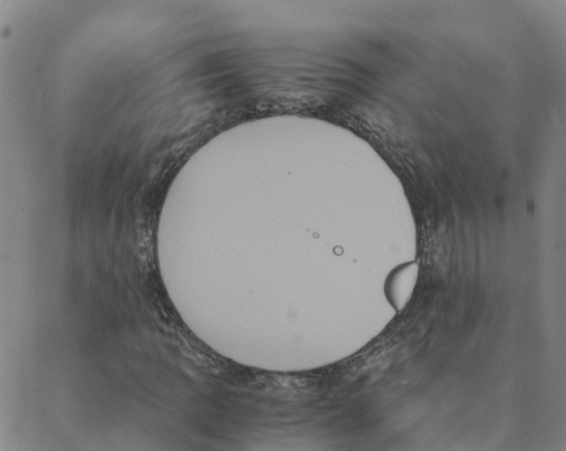 X0000088401109200706191350