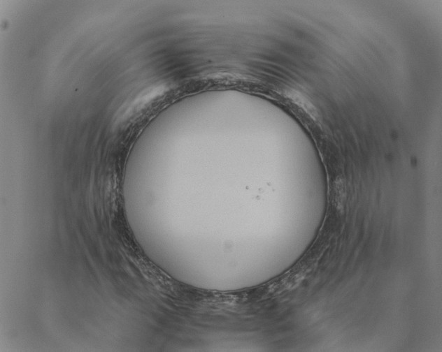 X0000088401111200706191350