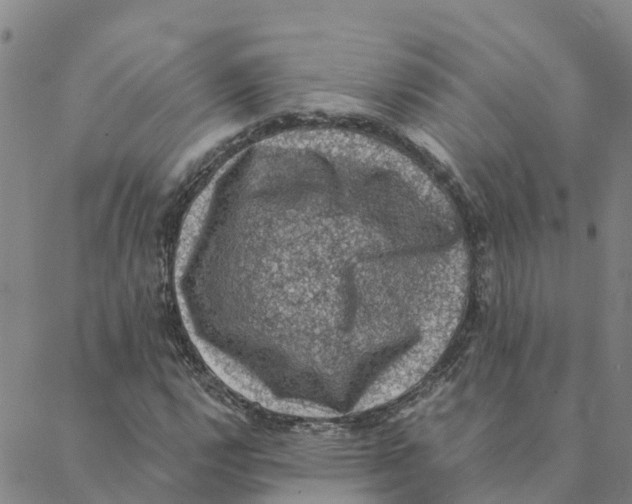 X0000088401112200706191350