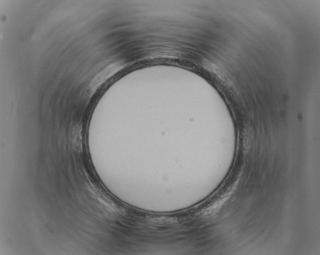 X0000088401113200706191350