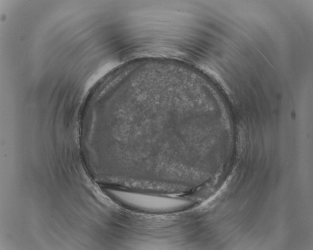 X0000088401114200706191350