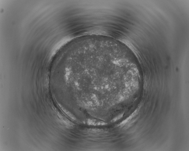 X0000088401115200706191350