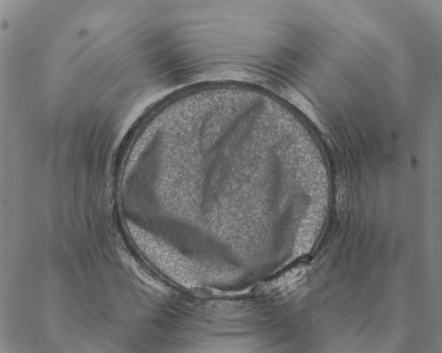 X0000088401116200706191351