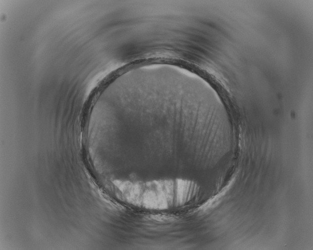 X0000088401117200706191351