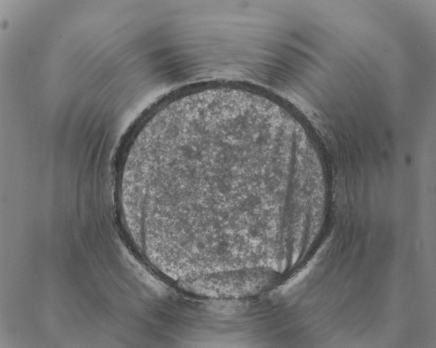 X0000088401118200706191351