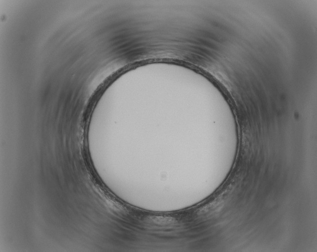 X0000088401119200706191351