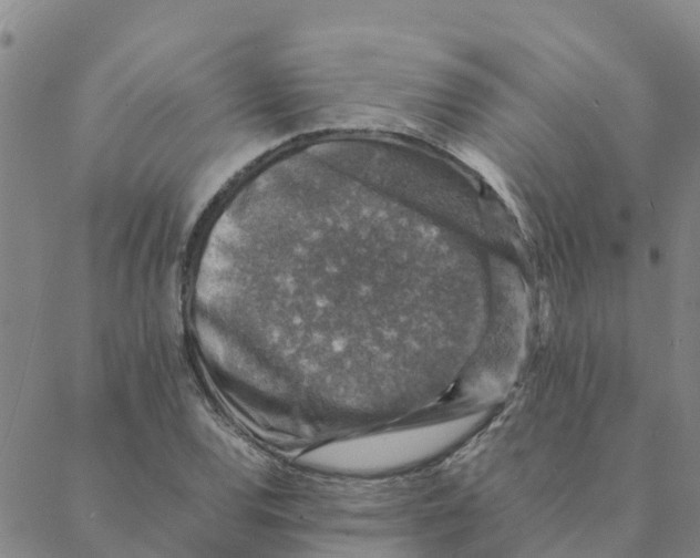 X0000088401120200706191351