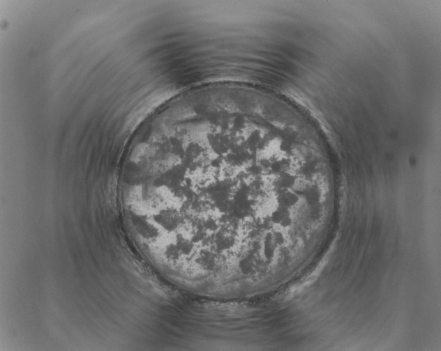 X0000088401121200706191351