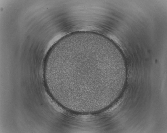 X0000088401122200706191351