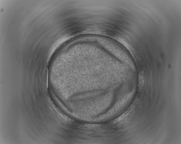 X0000088401123200706191351