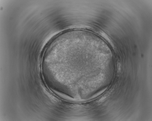 X0000088401124200706191351