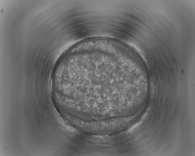 X0000088401125200706191351