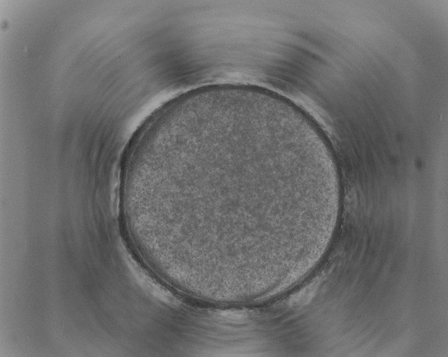 X0000088401126200706191351