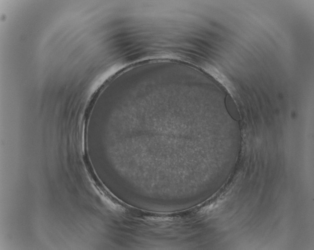 X0000088401127200706191351