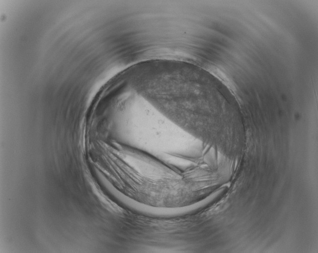 X0000088401128200706191351