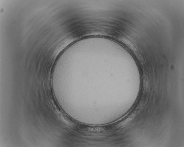 X0000088401129200706191351