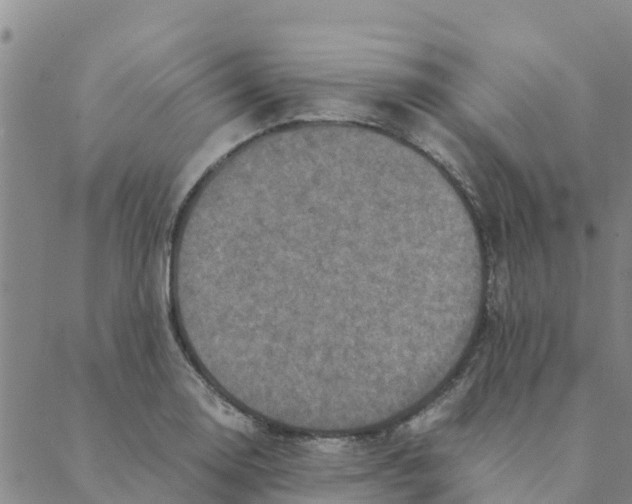 X0000088401130200706191351