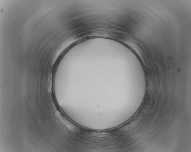 X0000088401131200706191351