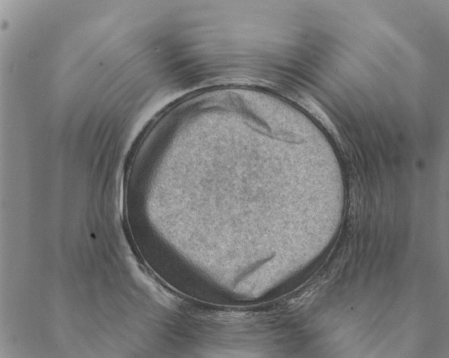 X0000088401132200706191351