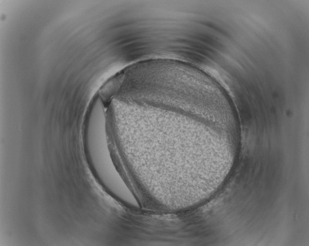 X0000088401133200706191351