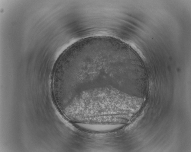 X0000088401134200706191351