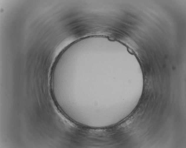 X0000088401135200706191351