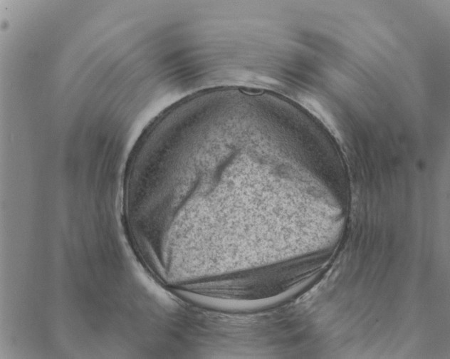 X0000088401136200706191351