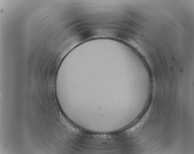 X0000088401137200706191351