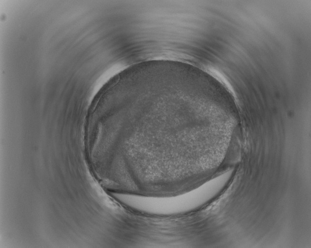 X0000088401138200706191351