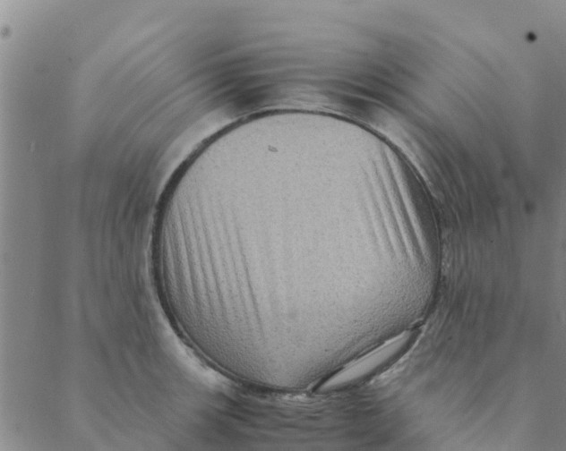 X0000088401139200706191351