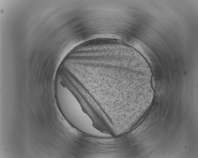 X0000088401140200706191351