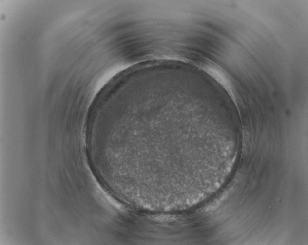 X0000088401141200706191351