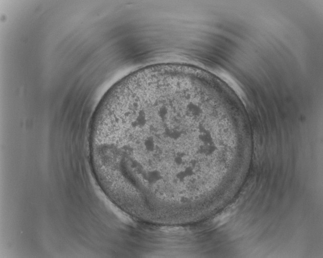 X0000088401142200706191351