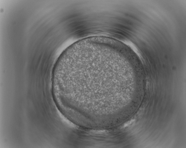 X0000088401143200706191351