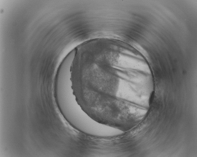 X0000088401144200706191351