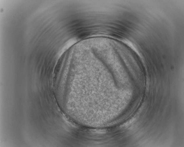 X0000088401145200706191351