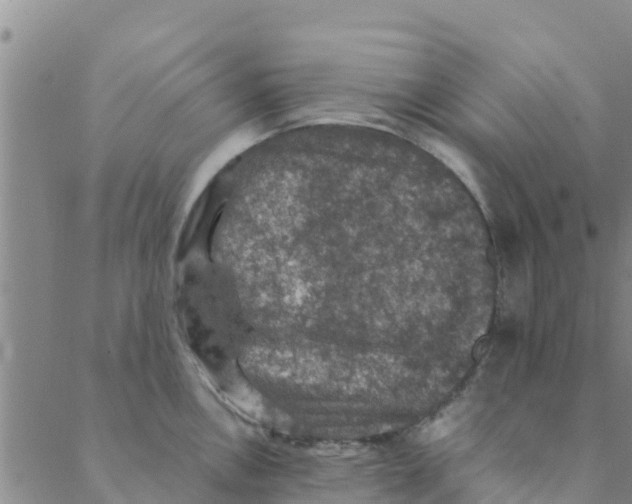 X0000088401146200706191351