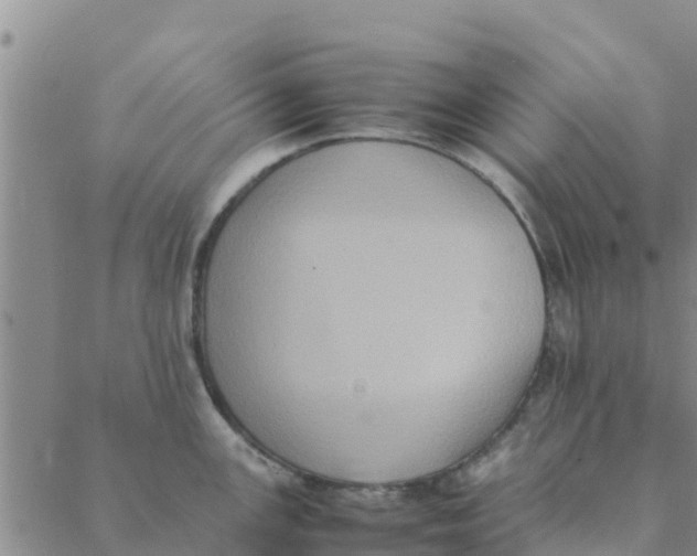 X0000088401147200706191351