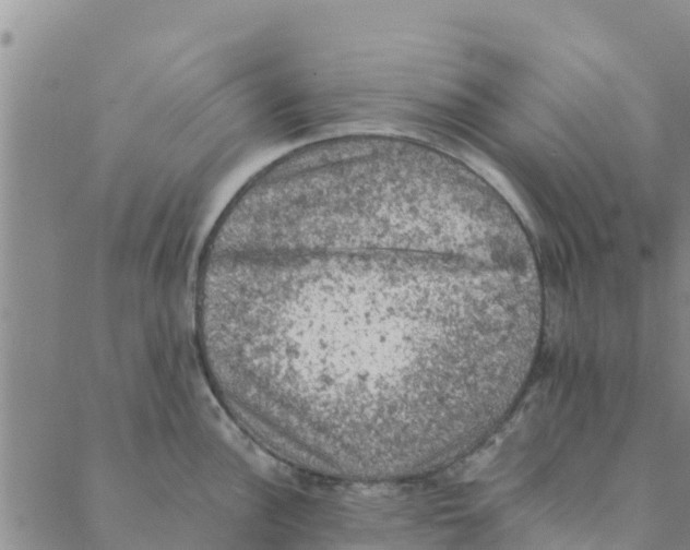 X0000088401148200706191351