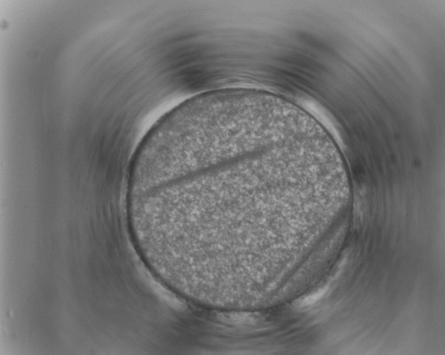 X0000088401149200706191351