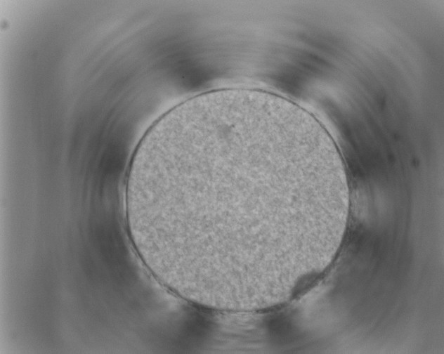 X0000088401150200706191351