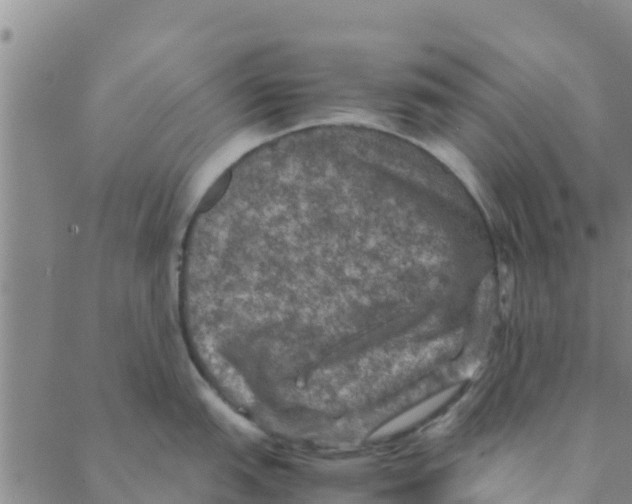 X0000088401151200706191351