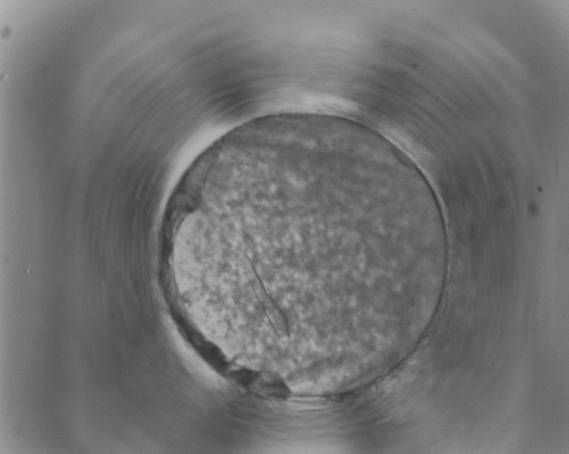 X0000088401152200706191351