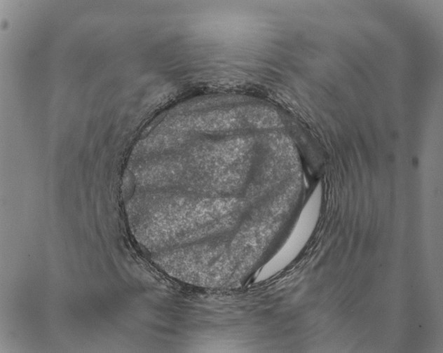 X0000088401153200706191350